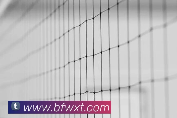 奖项4